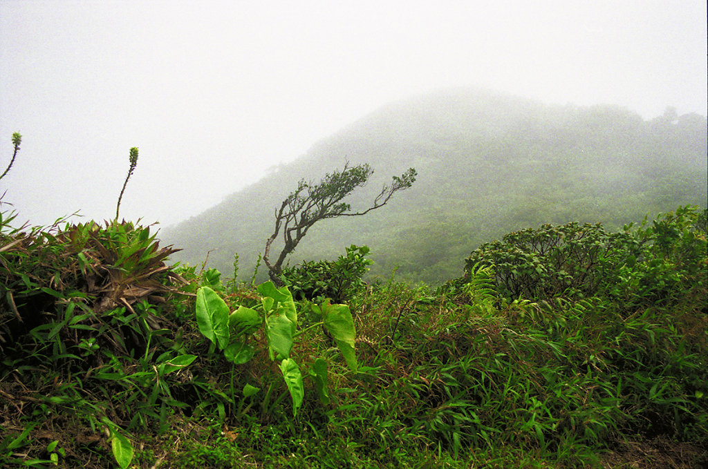 envolvernos en la lluvia, immanence, TEORética, San Jose, Costa Rica