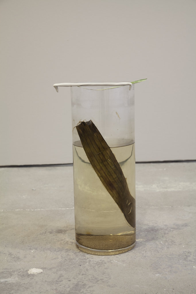 view of Spelling, solo exhibition, S!GNAL, Malmö, Sweden, 2016